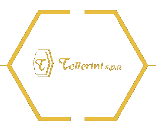 Logo Tellerini
