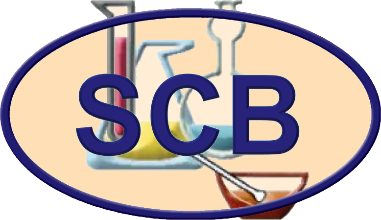Logo Bussi